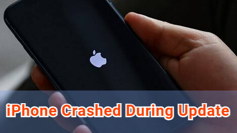 iPhone crashed during update