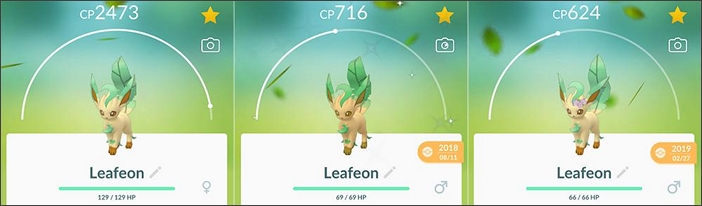 leafeon family