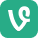 vine